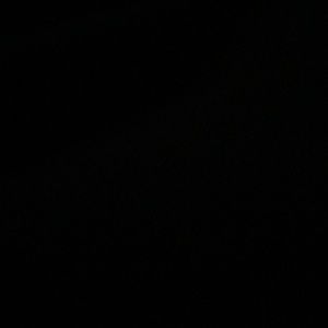 Meet your Posher, Brady